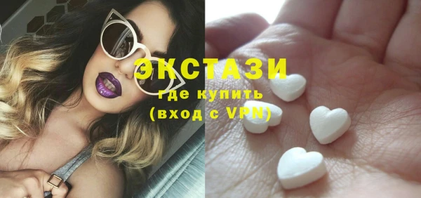 гашик Алексин