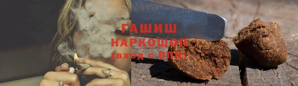 гашик Алексин