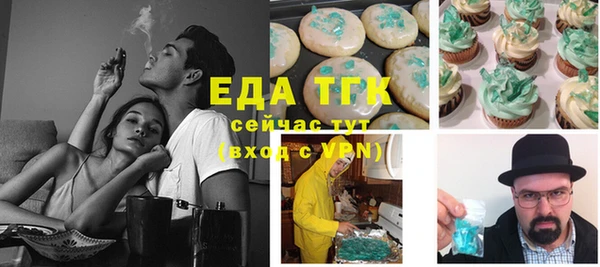 мдпв Осташков