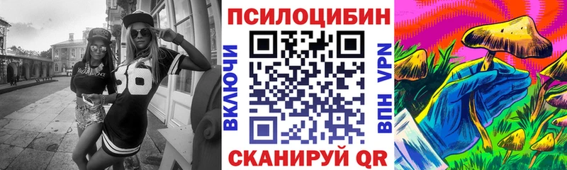 Галлюциногенные грибы Psilocybe  Ужур 